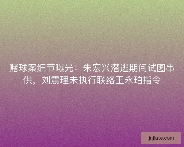赌球案细节曝光：朱宏兴潜逃期间试图串供，刘震理未执行联络王永珀指令